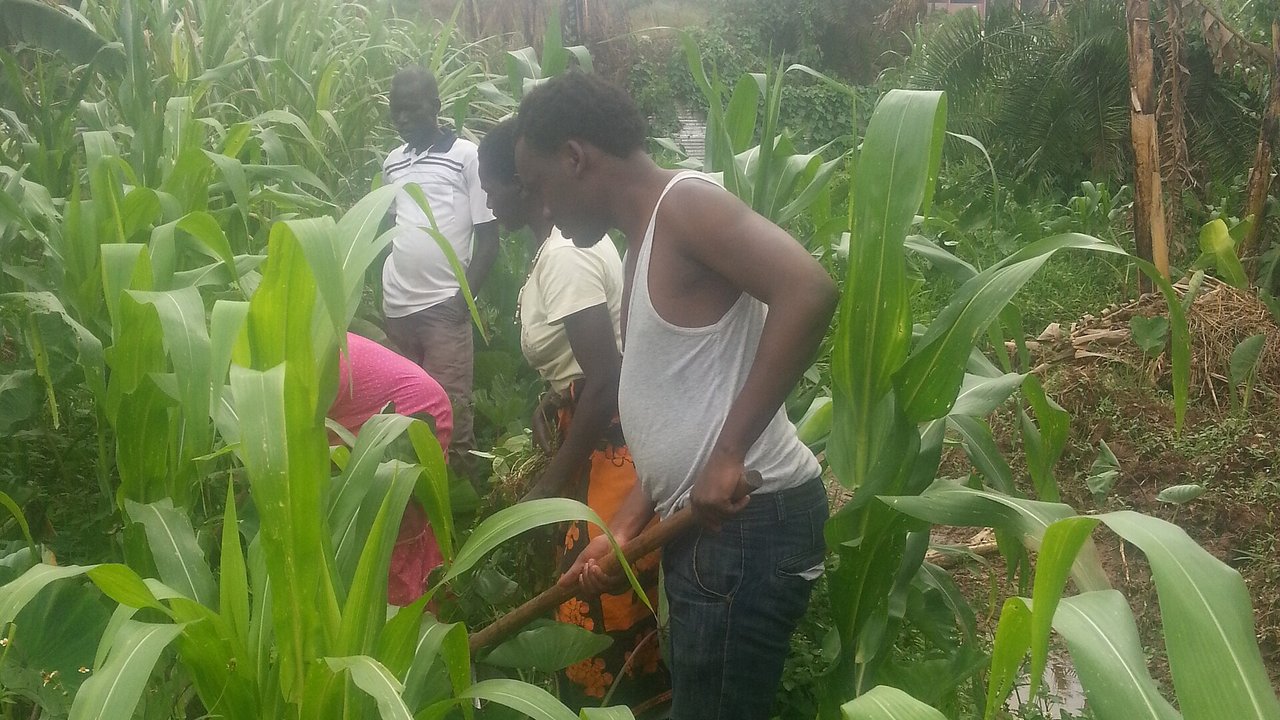4 Women Farmers and Agriculturists Breaking New Ground